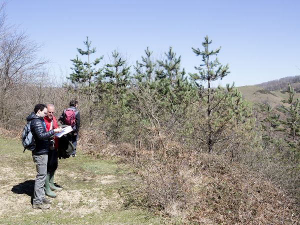 E Otzuarte Forest Navarra no Q20150408 0000 copy