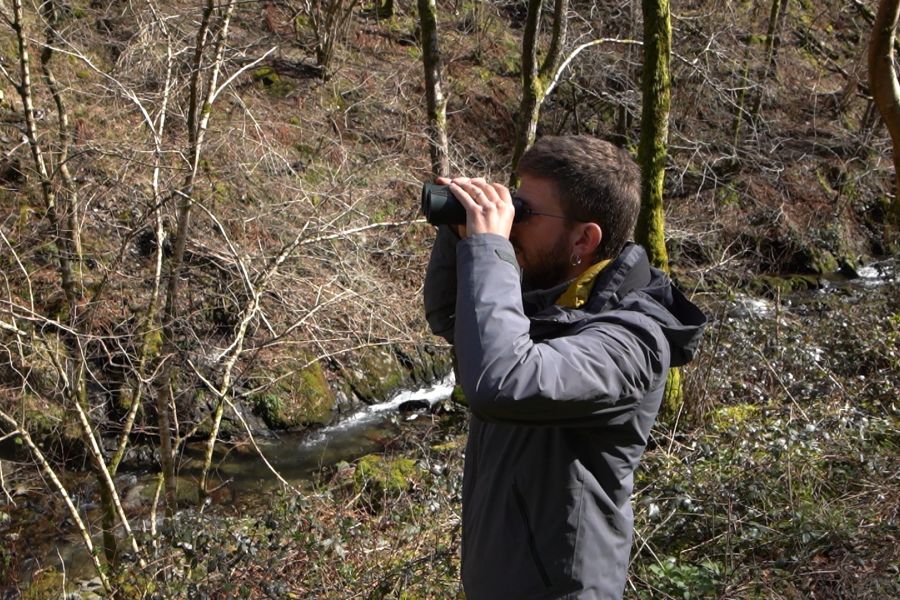foto proyecto Especies amenazadas